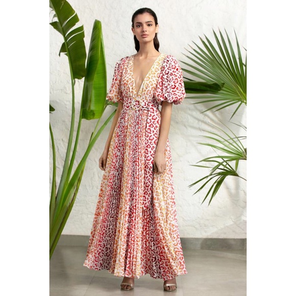 NWT ROCOCO SAND AVANA LEOPARD MAXI PLEATED DRESS - Picture 8 of 16